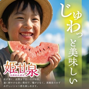 SA2882　小玉スイカ「姫甘泉」　7kg以上(3～4玉入)