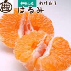 家庭用はるみ4.5kg+135g(傷み補償分)【訳あり】【デコポンの姉妹品種】