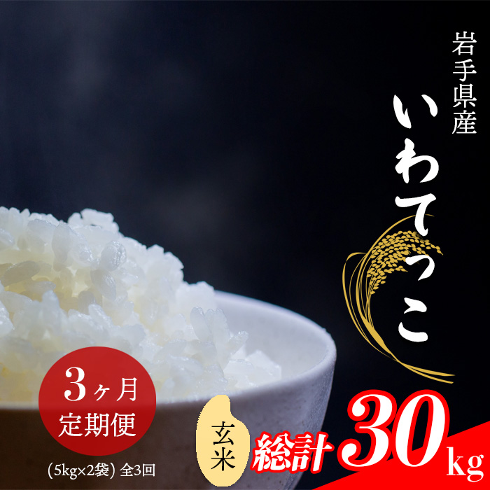 【令和7年産】 新米 11月中旬発送開始予定 いわてっこ 玄米 10kg （5kg×2袋）  ×3ヶ月定期便 ／ 中沢農産 こめ 米 コメ お米 おこめ ご飯 ごはん げんまい