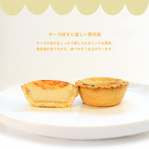 チーズタルト 冷凍  6個入 チーズな時間 タルト