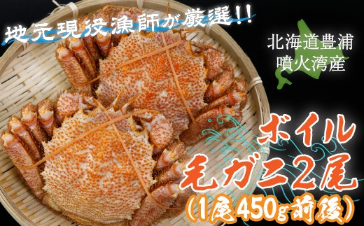 【令和8年度発送先行予約】【地元現役漁師が厳選！！】ボイル・毛ガニ2尾 （1尾450g前後） 北海道 豊浦 噴火湾