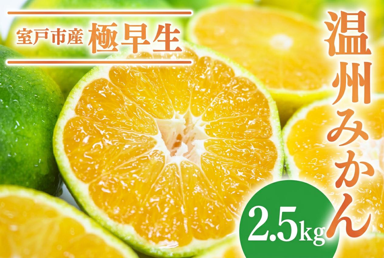 
                  【先行予約】極早生 温州みかん 2.5kg | 数量限定 温州みかん みかん 蜜柑 ミカン 柑橘 旬 果物 フルーツ 柑橘 甘い おススメ 人気 ランキング 旬のフルーツ 果物 産地直送 農家直送 おすすめ 人気 果実 うんしゅう ジュース ゼリー デザート 食べ比べ 家庭用 自宅用 お取り寄せ 西山台地のフルーツ園 高知県 室戸市
                