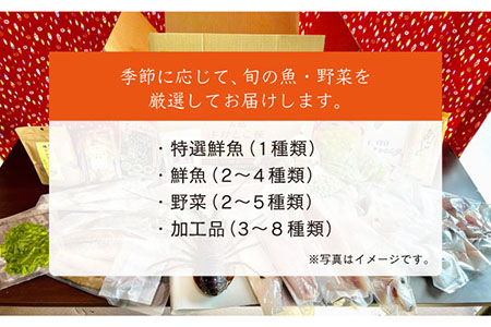 五島よかとこ便 特選鮮魚入り 野菜 加工品 おまかせ お楽しみ セット 五島市 / GOTO Challenged 椿 [PDU002] 鮮魚 野菜 加工品 おまかせ お楽しみ セット 鮮魚 野菜 加