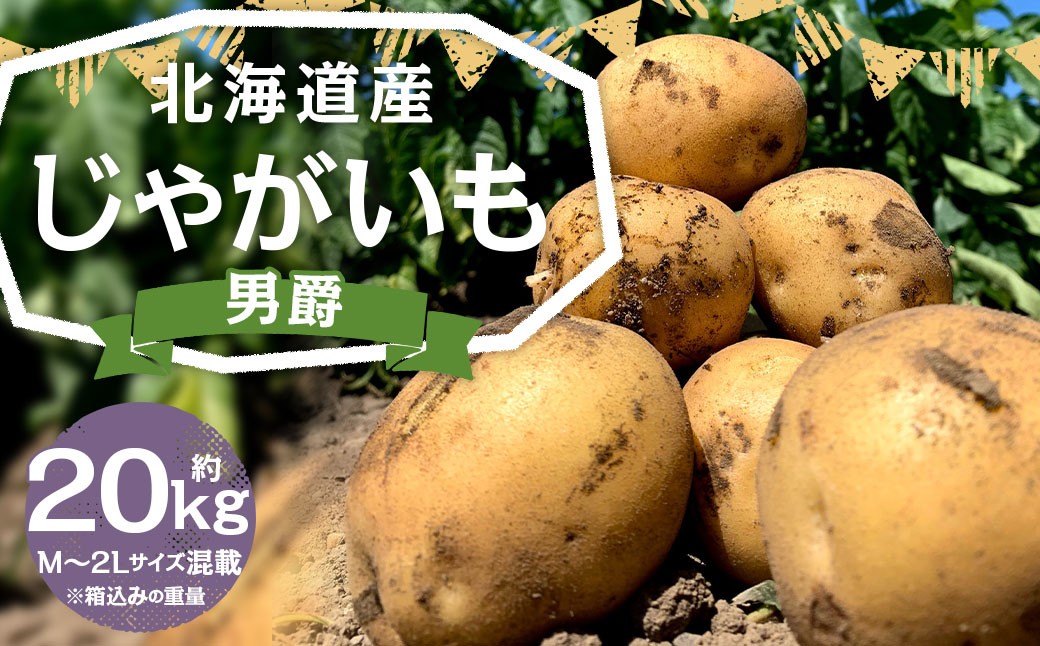 
                  北海道産 じゃがいも 男爵 M～2Lサイズ混載 約20kg 1箱 北海道産 じゃがいも 男爵 M～2Lサイズ混載 約20kg 1箱 山田農場 じゃがいも芋 野菜 ジャガイモ 芋 いも イモ 北海道産 国産 お取り寄せ 北海道 京極町 【2026年9月下旬-2027年1月上旬迄発送予定】
                