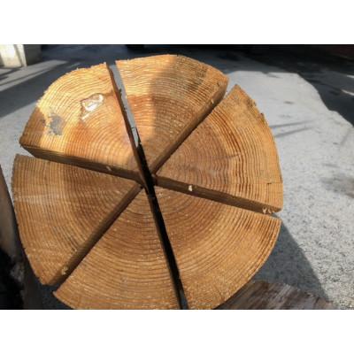 ふるさと納税 阿賀町 奥阿賀のトーチ(直径20センチ前後×2つ) |  | 01