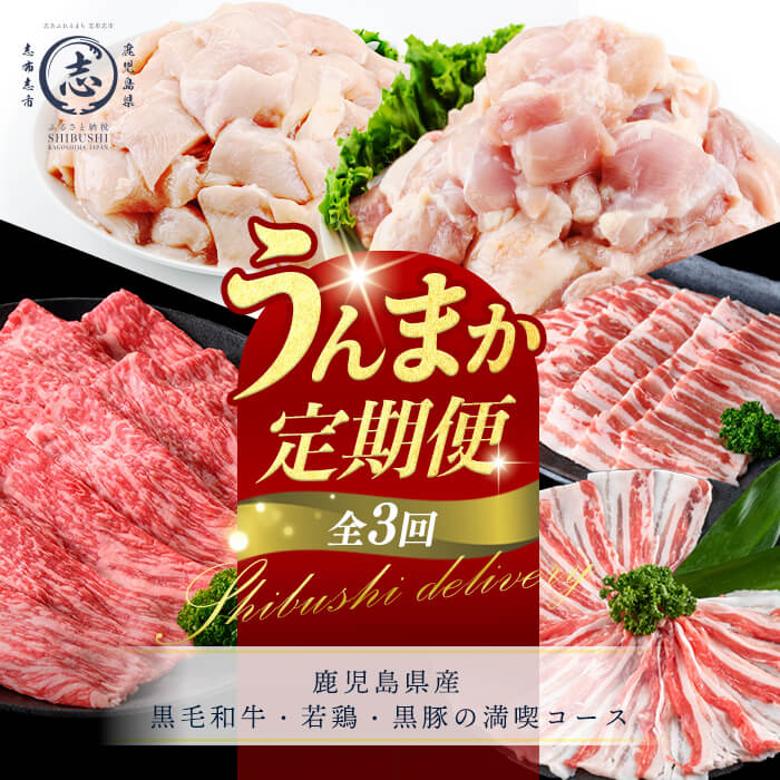 【ふるさと納税】【定期便全3回】鹿児島県産 黒毛和牛・若鶏・黒豚の満喫コース！志布志うんまか定期便 牛肉 赤身 モモ ウデ 豚肉 肉 黒豚 バラ バラ肉 スライス しゃぶしゃぶ 焼肉 鶏肉 とり肉 鳥肉 鶏もも肉 鶏ムネ肉 若鶏 バラエティ セット【ナンチク】【羽根】t0046-005