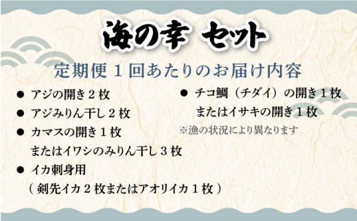 【全6回定期便】壱岐美食の海の幸セット [JBU019] 干物 刺身 アジ イカ 鯛 カマス 84000 84000円
