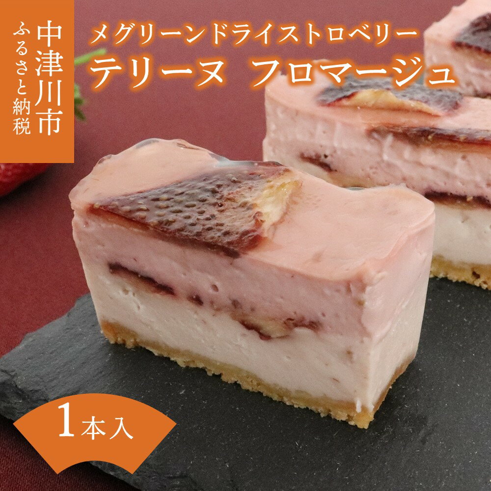 【ふるさと納税】メグリーン ドライストロベリー テリーヌ フロマージュ 人気 スイーツ 菓子 ギフト 洋菓子 春 旬 F4N-1601