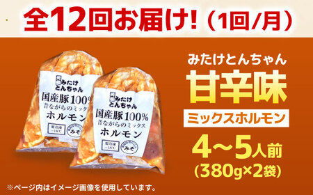 【12回定期便】 「元祖みたけとんちゃん」 昔ながらのミックスホルモン 2袋 / モツ もつ レバー ホルモン / 御嵩町 / 藤よし[AVAA084]