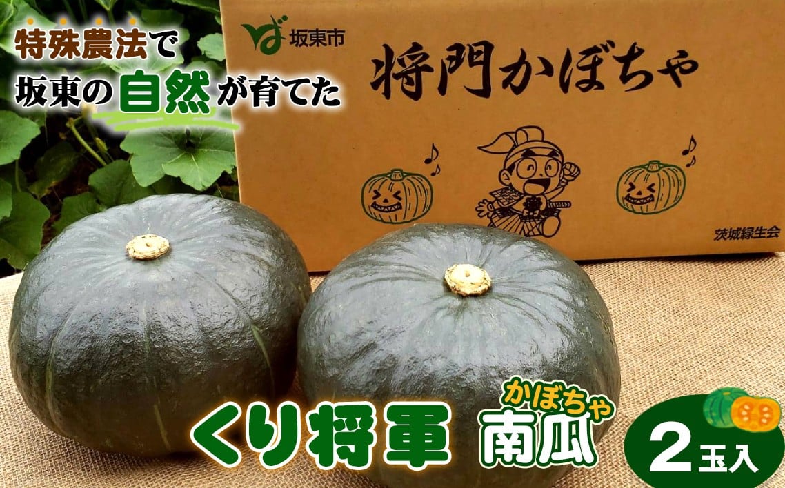 
                  特殊農法で坂東の自然が育てた「くり将軍南瓜」2玉入 ／ かぼちゃ カボチャ 食味 品質 糖度 野菜 ベジワングランプリ1等特別賞受賞 茨城県 特産品 No.843
                