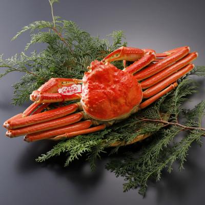 ふるさと納税 智頭町 【先行予約】鳥取県産 タグ付き 茹 松葉がに 700g×1杯(中村商店)25年12月・26年1月発送