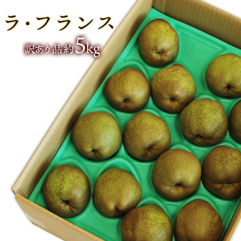 【ふるさと納税】 【令和8年産先行予約】 〈訳あり品 家庭用〉 ラ・フランス 約5kg (10～18玉 中～大玉) 《令和8年11月上旬～発送》 『旬の果実 佐藤市右衛門農園』 ラフランス 西洋梨 洋なし 訳あり 果物 フルーツ デザート 山形県 南陽市 [1047]