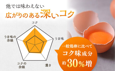 【全12回定期便】彩り天佑卵 20個入り 卵 卵 卵  卵 卵 たなべたたらの里[AIDL015]