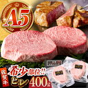 【ふるさと納税】【美食家も虜になる上質な部位】佐賀牛 A5 ヒレステーキ 計400g（200g×2パック）【がばいフーズ】[HCS016]