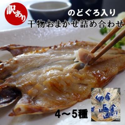 ふるさと納税 大田市 【訳あり】魚の干物おまかせ詰合せセット(のどぐろ入り)(干物4〜5種)　(A191)