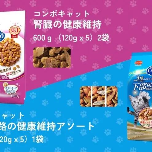 キャットフード コンボ 6種類 アソート セット キャットフード