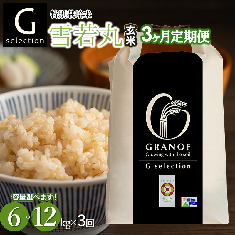 【ふるさと納税】令和7年産【新米】Gセレクション 雪若丸 玄米　3ヶ月定期便（毎月1回中旬発送） 山形県鶴岡産　選べる容量(6kg or 12kg)　株式会社グラノフ