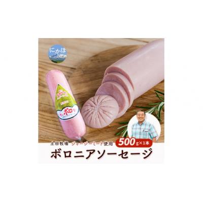 ふるさと納税 にかほ市 ボロニアソーセージ 500g×1本(ジャージー ミート使用)[No.5934-0335]