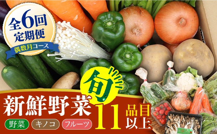 
                  【6回定期便 偶数月コース】野菜 キノコ 果物 11品目 詰め合わせ  当日仕入れ当日発送！ / 定期便 野菜 春野菜 夏野菜 秋野菜 冬野菜 旬 きのこ キノコ 産地直送 / 南島原市 / 吉岡青果 [SCZ006]
                
