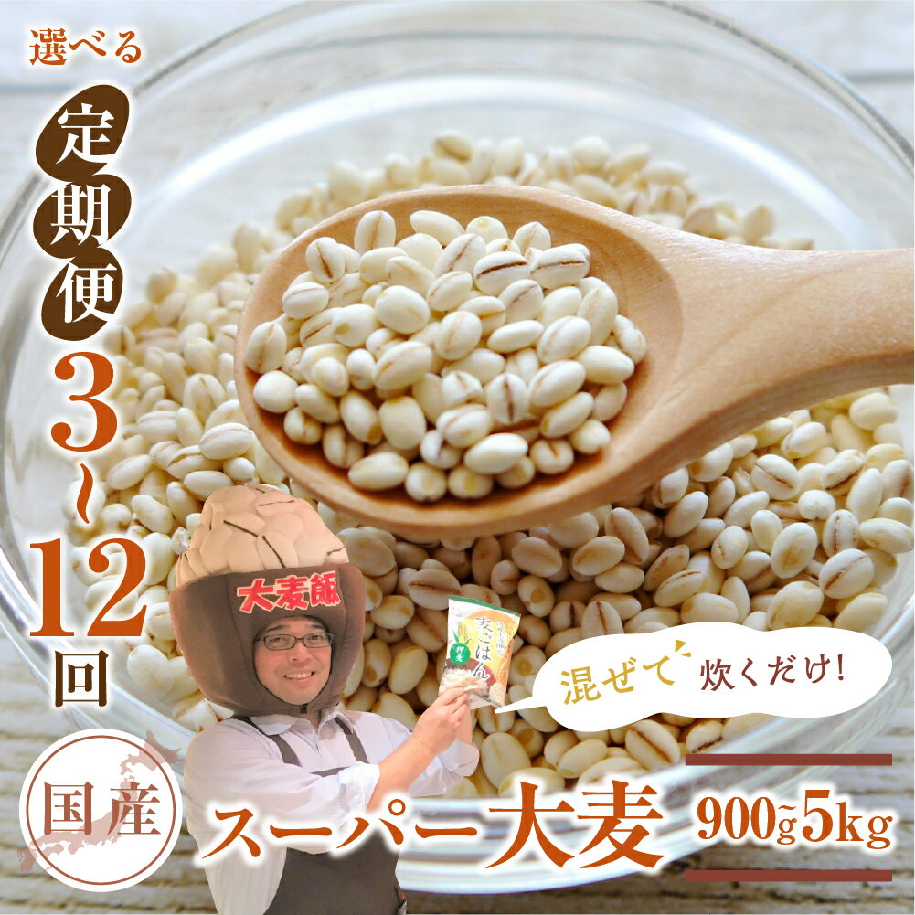 【ふるさと納税】国産スーパー 大麦 1.8kg 【定期便が選べる 3回～12回】食物繊維 たっぷり 麦 麦ごはん 大麦 ビューファイバー 雑穀米 健康 定期便 麦 3回 6回 12回 愛知県 豊橋市