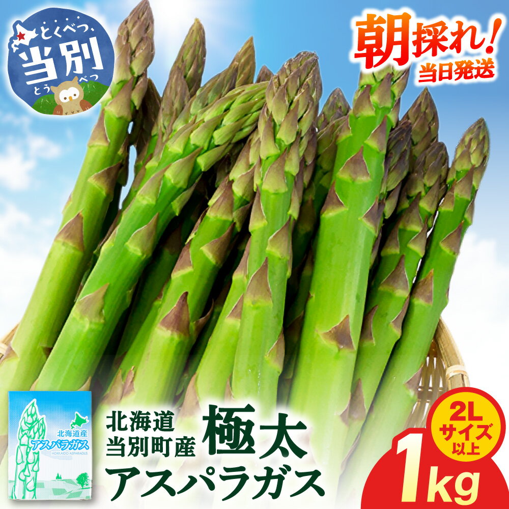 【ふるさと納税】【2026年先行受付】とれたて極太グリーンアスパラ1kg イチカワトモヒロ農場 北海道 当別町 野菜 やさい アスパラガス アスパラ グリーンアスパラ 極太 北海道産 有機肥料 当別 美味しい ヘルシー とれたて 1kg《2026年5月上旬頃から6月下旬頃まで出荷予定》