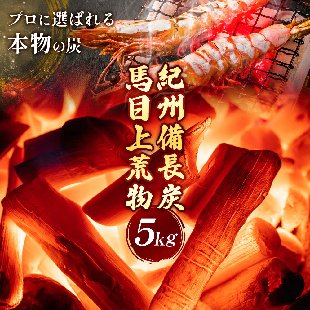 【ふるさと納税】紀州備長炭 炭 備長炭 馬目上 荒物 5kg 紬商店《30日以内に出荷予定(土日祝除く)》和歌山県 日高川町 送料無料 備長炭 紀州備長炭 炭 高火力 BBQ 焼肉 炭火焼き キャンプ レジャー 国産 火起こし 高品質