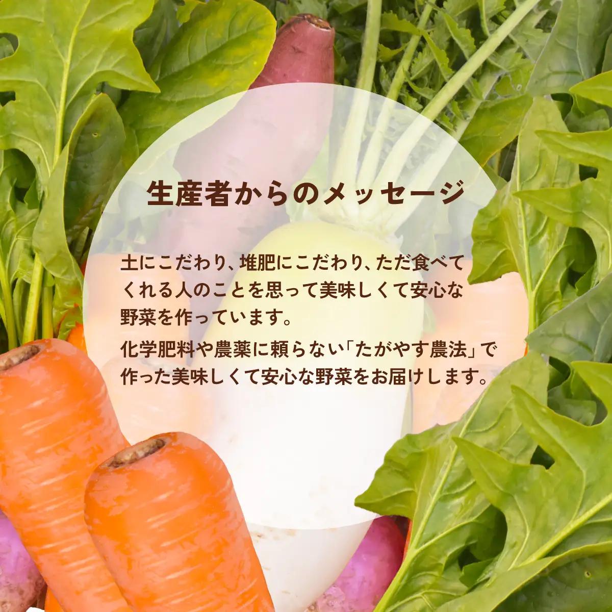 ≪11か月定期便≫有機農業の第一人者 たがやす倶楽部 齊藤 完一さんの「季節の野菜セット」 SMCL011