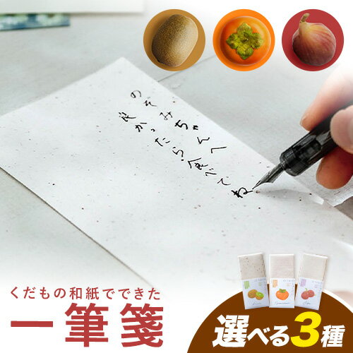 【ふるさと納税】便箋 もったいない畑のくだものでつくった一筆箋 10枚 選べる 柿 キウイ いちじく 和紙 まつばら農園 《30日以内に出荷予定(土日祝除く)》 和歌山県 紀の川市 フルーツ 果物 くだもの和紙 紙 手紙