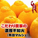 【ふるさと納税】【先行予約】こだわり農家の濃厚不知火 ※2月上旬～3月下旬頃に順次発送予定 ※北海道・沖縄・その他離島地域は発送不可 / みかん 蜜柑 果物 くだもの 果実 フルーツ 国産 和歌山県広川町 //dekopon