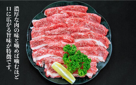 博多和牛 牛肉 スライス しゃぶしゃぶ「ブリスケ」約700g＜一般社団法人地域商社ふるさぽ＞那珂川市 牛肉 肉 黒毛和牛 ブランド牛 国産  BBQ バーベキュー 12000 12000円 [GBX0