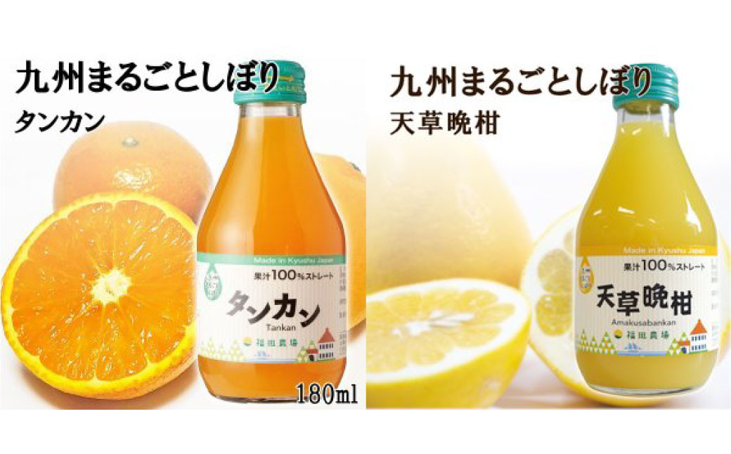 特選 九州みかん ジュース 4種飲み比べ 180ml×8本セット
