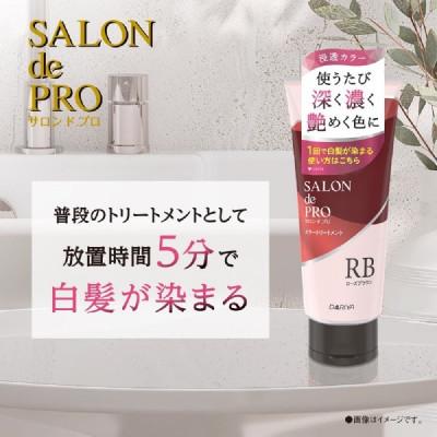 ふるさと納税 稲沢市 ダリヤ　サロン　ド　プロ　カラートリートメント《ローズブラウン》3個セット |  | 01