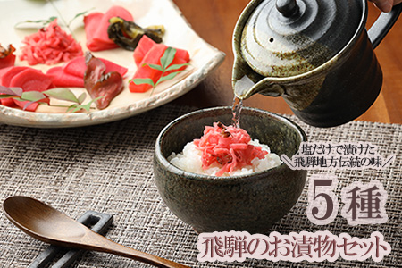 飛騨のお漬物 5種類セット 漬け物 飛騨 詰め合わせ【15-2】つけもの 漬物 漬け物 つけもの 漬物 漬け物