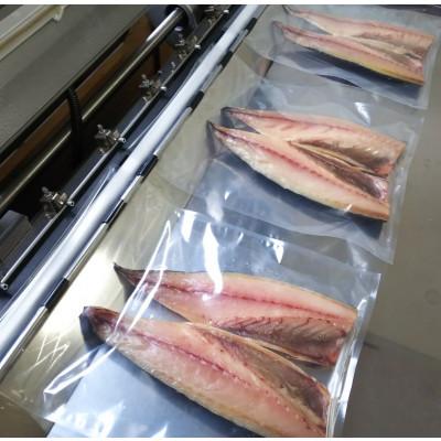 ふるさと納税 伊根町 塩サバ 干しフィレ　片身6枚 |  | 02