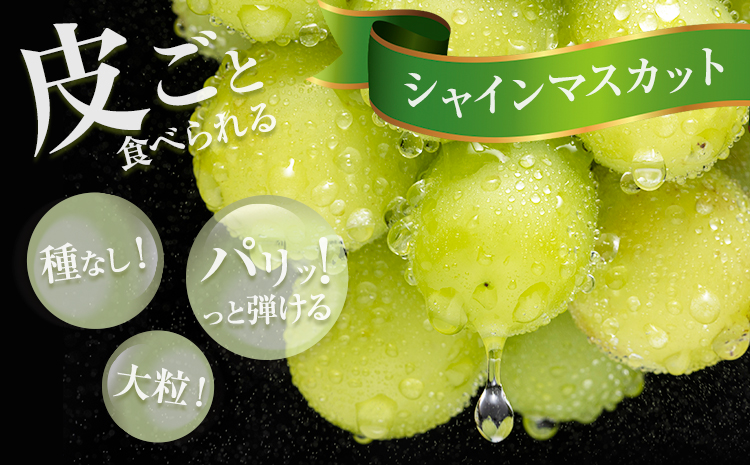 【先行予約】シャインマスカット ＆ クイーンニーナ 各１房 計約1.2kg《9月中旬-10月中旬頃出荷》テレビせとうち株式会社 冷蔵 果物 ブドウ 送料無料 岡山県 浅口市 シャインマスカット【配送不