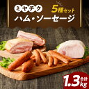 【ふるさと納税】 高評価☆4.50 ミヤチク 「ハム ・ ソーセージ」 5種 セット 合計 1.3kg 肉 豚肉 国産 おかず お弁当 晩ご飯 おつまみ 加工食品 惣菜 パーティー 加工品 焼肉 バーベキュー キャンプ 詰め合わせ お取り寄せ グルメ 食品 宮崎県 都農町 送料無料