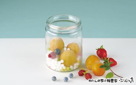 カラフル梅ジュースづくり体験ペアチケット A-006b