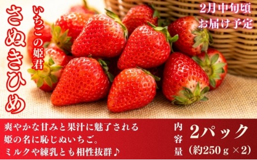 フルーツ 定期便 3回　旬に出逢う城下町の果実 定期配送 いちご 桃 シャインマスカット ぶどう 果実 果物 フルーツ 旬のフルーツ フルーツギフト フルーツ定期 フルーツ定期便 果物定期 果物定期便