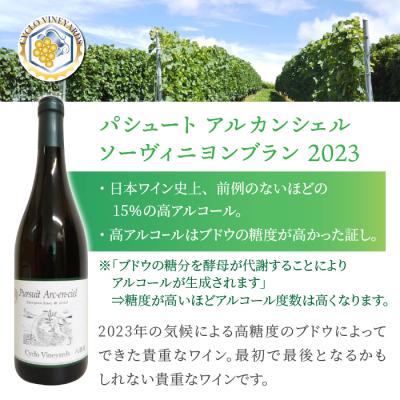 ふるさと納税 東御市 凍霜害 応援!!日本ワイン史上、初!? アルコール15%の特別なワイン|496ワイナリー |  | 01