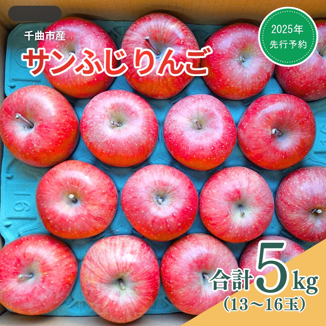 【ふるさと納税】【2025年先行予約】りんご サンふじ 約5kg(13~16玉)|林檎 蜜入り 果物 フルーツ サン ふじ 富士 5kg 信州林檎 信州りんご 信州 長野 千曲市 送料無料