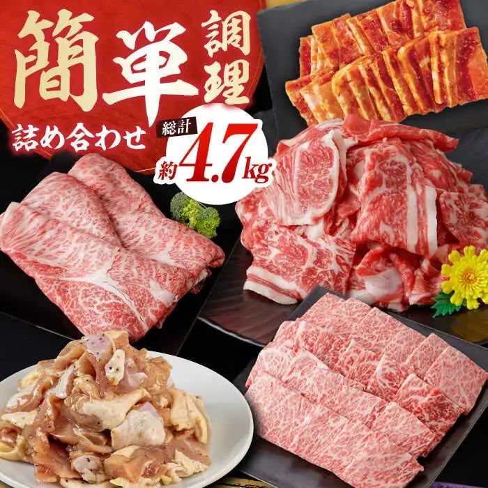 簡単調理! お肉の詰め合わせ 総計約4.7kg 牛肉 鶏肉 豚肉 国産 小分け 食べ比べ 【(有)山重食肉】 [ATAP009]