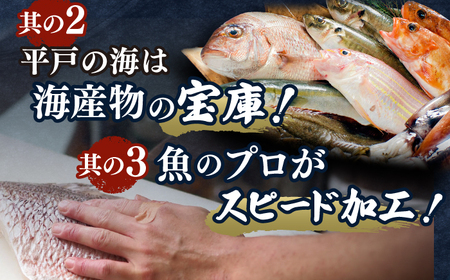 ＜6月発送＞刺身 3人前 約450g 詰め合わせ【百旬館】[KAK020]/ 長崎 平戸 魚介類 魚 刺身 ブロック ヒラス ひらす ブリ ぶり 鯛 タイ たい 急速冷凍 真空 パック