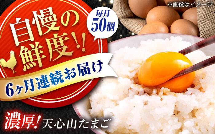 【全6回定期便】天心山 たまご 50個（10個入り×5パック） 卵 たまご 高級 食品 たまごかけご飯 卵かけご飯 卵焼き 生卵 濃厚 ケーキ お菓子 づくり ランキング 上位 人気 おすすめ 定期便　広島県福山市/天心山ファーム [BABW035]