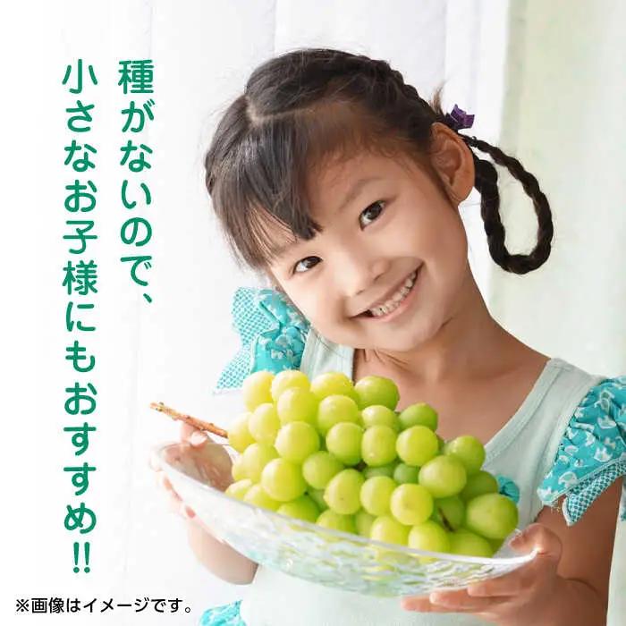 【先行予約】シャインマスカット 約1.2kg（2から3房） ぶどう 種なし  熊本 くまもと 九州 皮ごと  【合同会社 福福堂】[ZCN006]