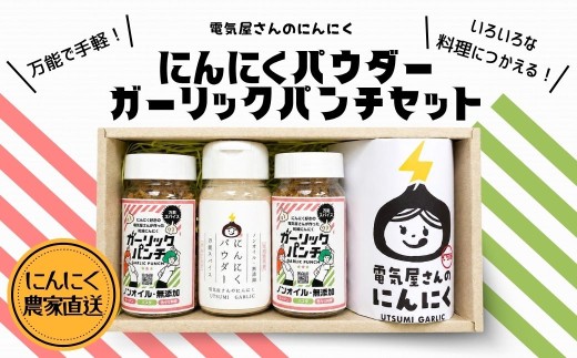 にんにくパウダー ガーリックパンチセット 電気屋さんのにんにく | 大蒜 ニンニク にんにく ガーリック がーりっく かけるだけ ノンオイル 簡単調味料 パスタ カレー パスタ ラーメン チャーハン 餃子 炒め物 dp001-aa