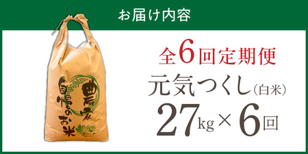 【定期便6回】【令和8年産 新米】福岡県産ブランド米元気つくし 白米 27kg×6回 _  元気つくし 27kg  お届け回数 6回 定期便 福岡県産 ブランド米 精米 新米 福岡生まれ 品種 香り豊