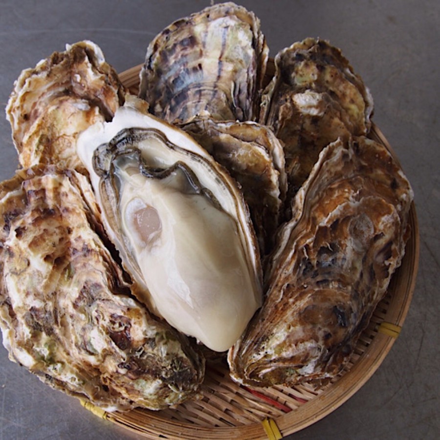 ＜横綱牡蠣の吉田水産＞お試し むき身牡蠣 加熱用 Mサイズ 300g
