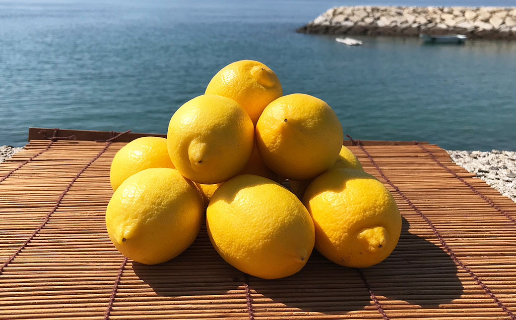 
選べる発送月 青いレモンの島 レモン 約1kg 檸檬 れもん 柑橘 かんきつ くだもの 果物 愛媛県 【えひめの町（超）推し！（上島町）】（737）
