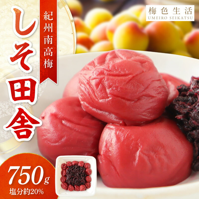 【ふるさと納税】【紀州南高梅】しそ田舎梅干 750g 調味料（アミノ酸等）無添加 着色料無添加 梅干し 梅干 うめぼし しそ しそ梅 送料無料 ふるさと納税