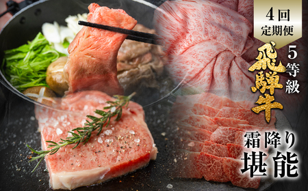 飛騨牛 霜降り堪能 4回定期便 しゃぶしゃぶ ステーキ 焼肉 すき焼き 肉の沖村 牛肉 肉 御中元 お中元 お歳暮[CT513]